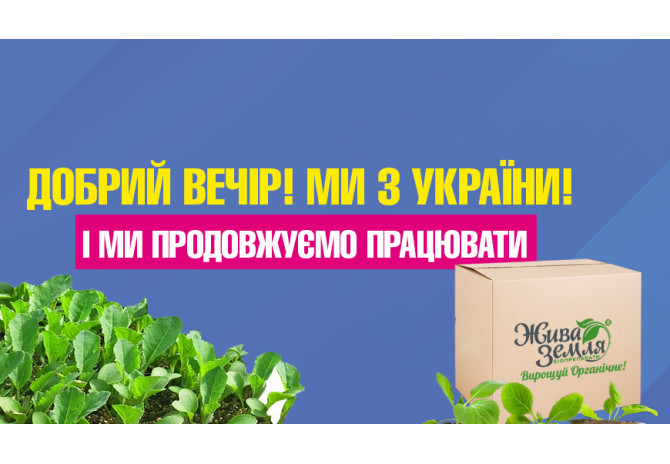 Відновлюємо роботу інтернет-магазину