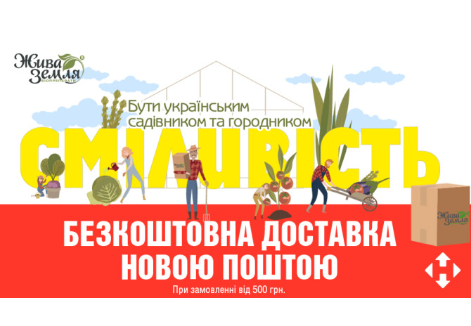 БЕЗКОШТОВНА ДОСТАВКА НОВОЮ ПОШТОЮ  [акція завершена]