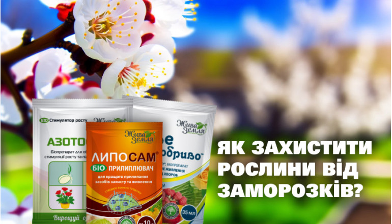 3 біопрепарати, щоб захистити рослини від заморозків