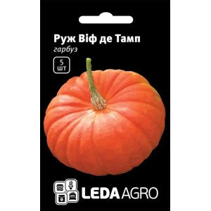 Насіння ЛА Гарбуз Руж Віф дЕтамп 5 шт..