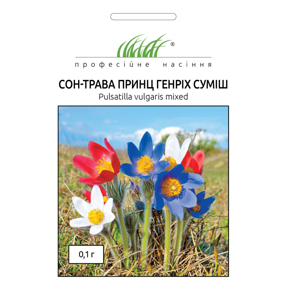 Насіння ПН Сон-трава «Принц Генріх» суміш 0,1г.