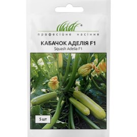 Насіння ПН Кабачок Аделия  5 шт