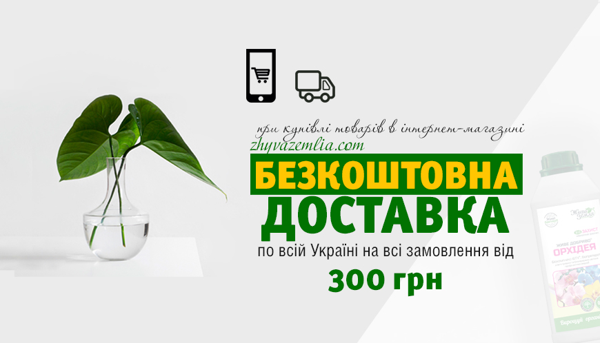 АКЦІЯ! БЕЗКОШТОВНА ДОСТАВКА!  [Акція завершена] 