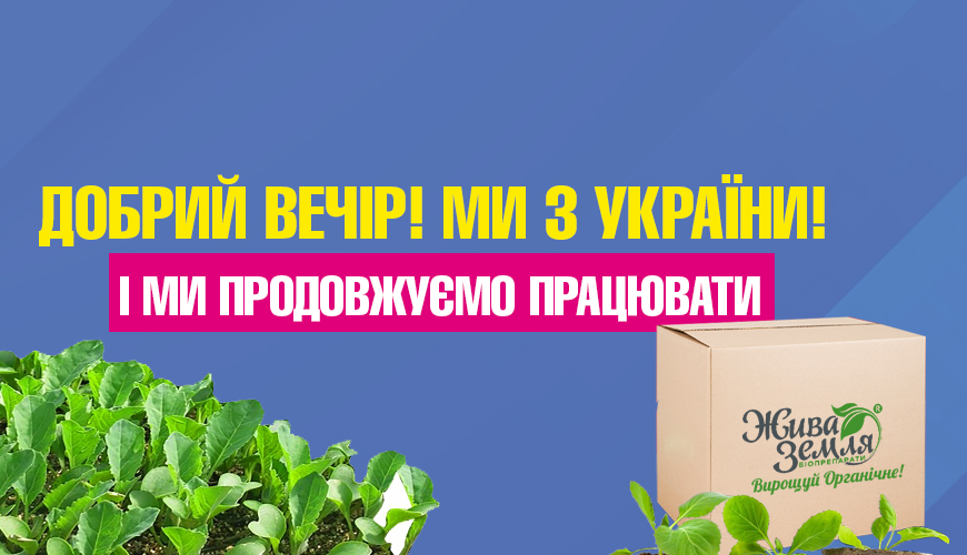 Відновлюємо роботу інтернет-магазину