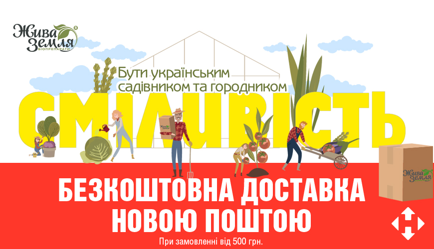 БЕЗКОШТОВНА ДОСТАВКА НОВОЮ ПОШТОЮ  [акція завершена]